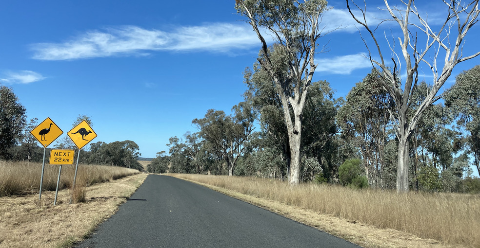 We Are Go on Road Trip with Big Nelly and Dim Sim