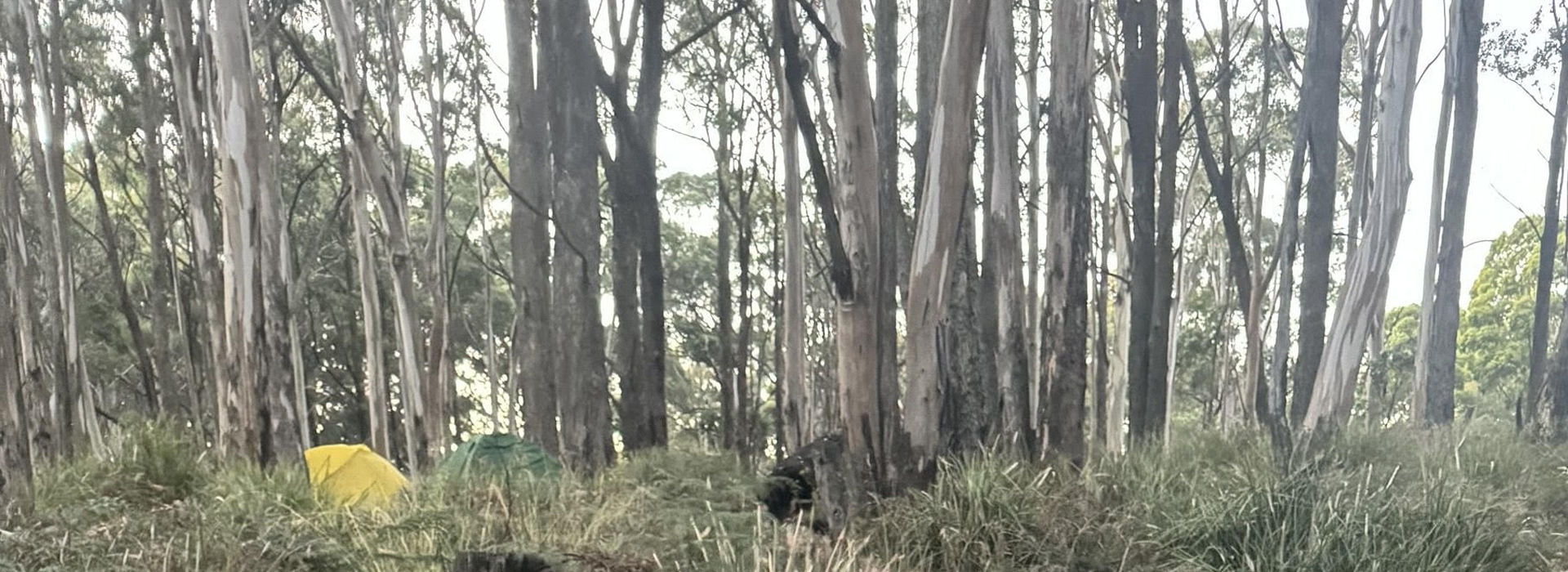 Morning Eulogy with Early mornings with Vivienne on Bay FM - 99.9FM