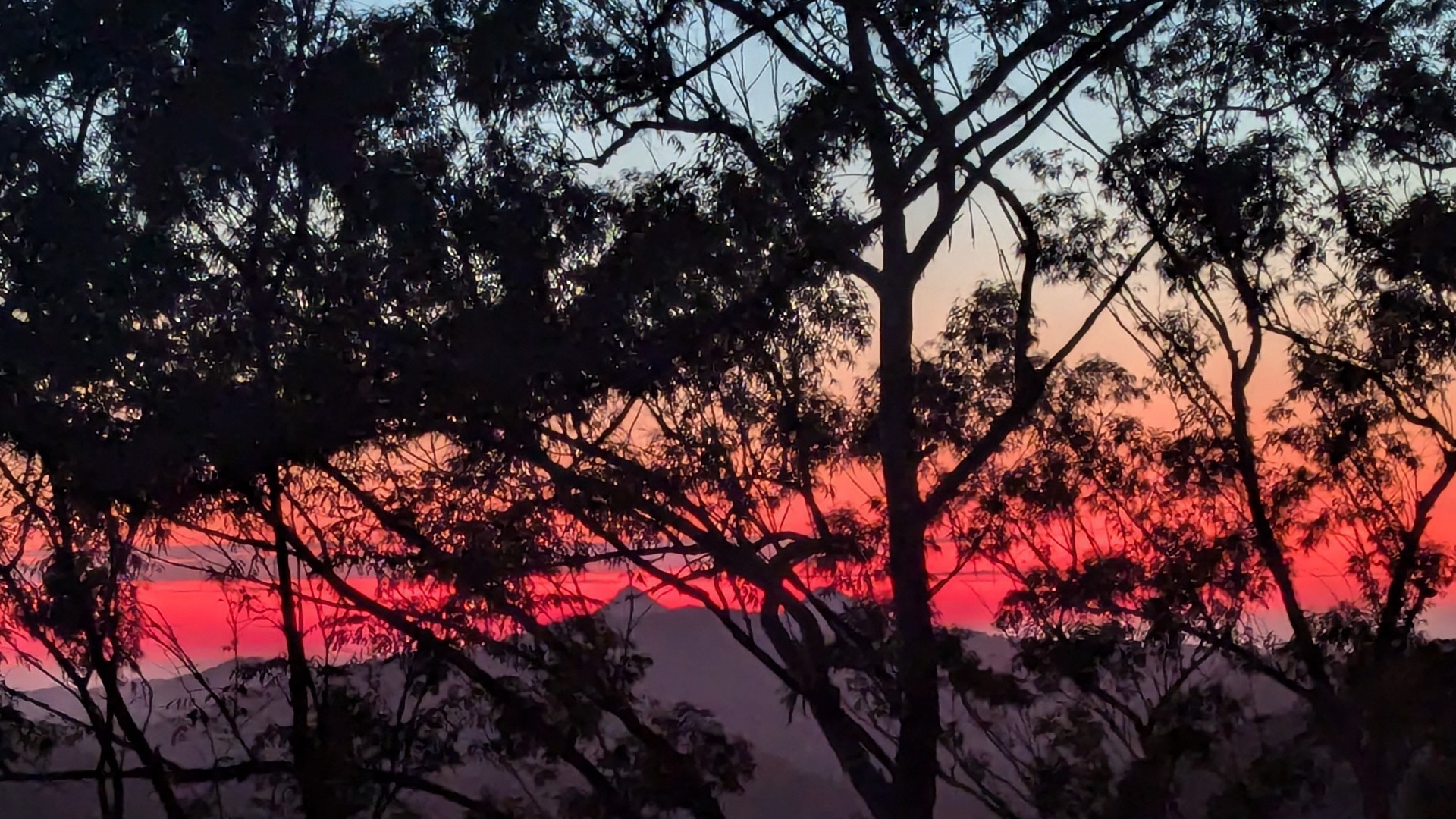 Elevate with  on Bay FM - 99.9FM