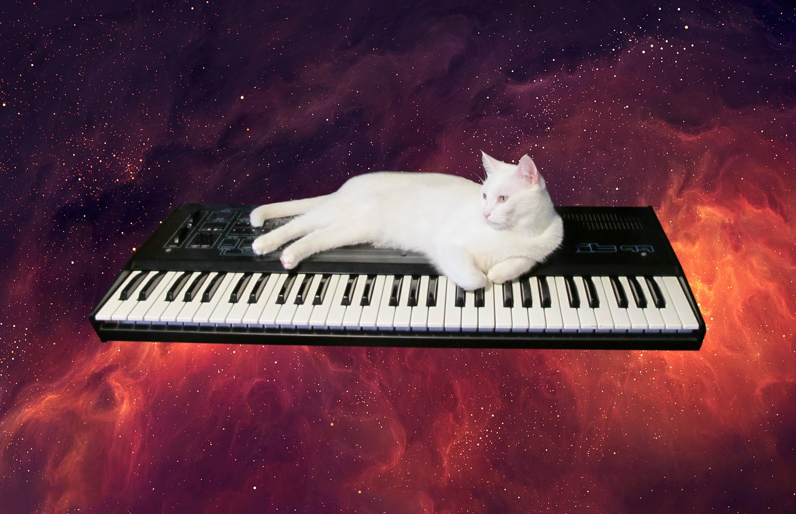 Sonic Rotation / Submerged / Under The Mirror Ball with Pob, Si Clone & Andy on Bay FM - 99.9FM