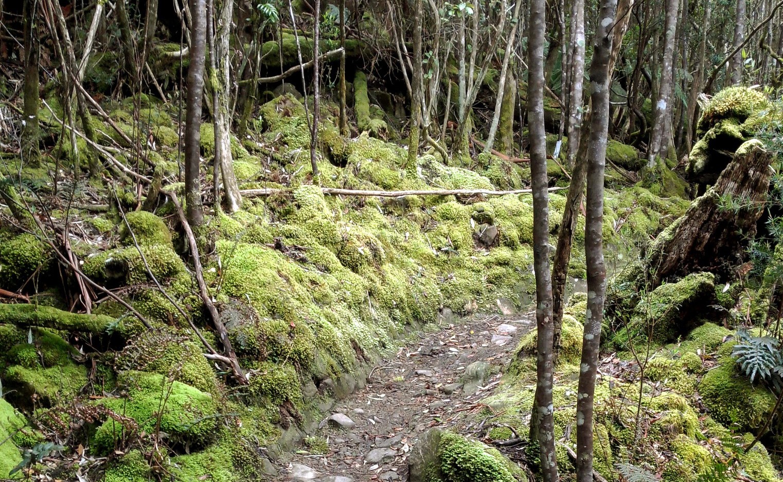 Adrian's Attic with Adrian on Edge Radio 99.3FM