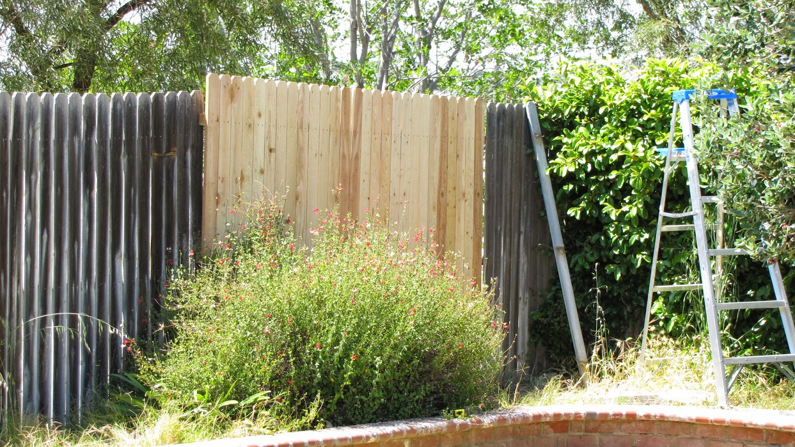 Over The Back Fence with Oliver on Bay FM - 99.9FM