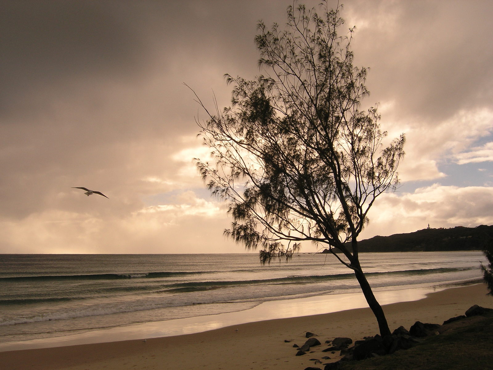 Breakfast with Joan of Arc with Joanie on Bay FM - 99.9FM