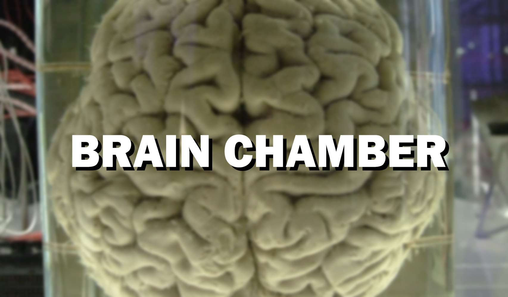 Morning Brain Chamber with Az on RoxFM