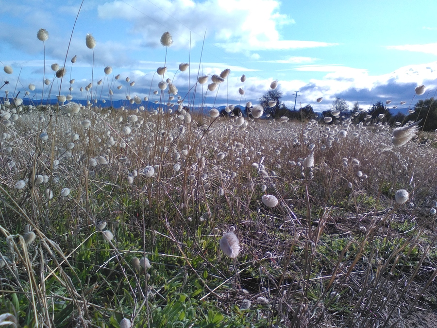Today featuring an interview with Aislinn Sharp, Brisbane singer-songwriter, who has just released a new single "The Wall" featuring beatboxer Joel Turner. on Adrian's Attic with Adrian