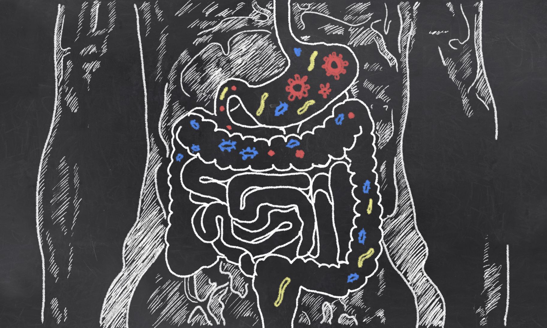 Gut-feeling: is your gut telling you more than you think? on That's What I Call Science with Niamh Chapman & Guests