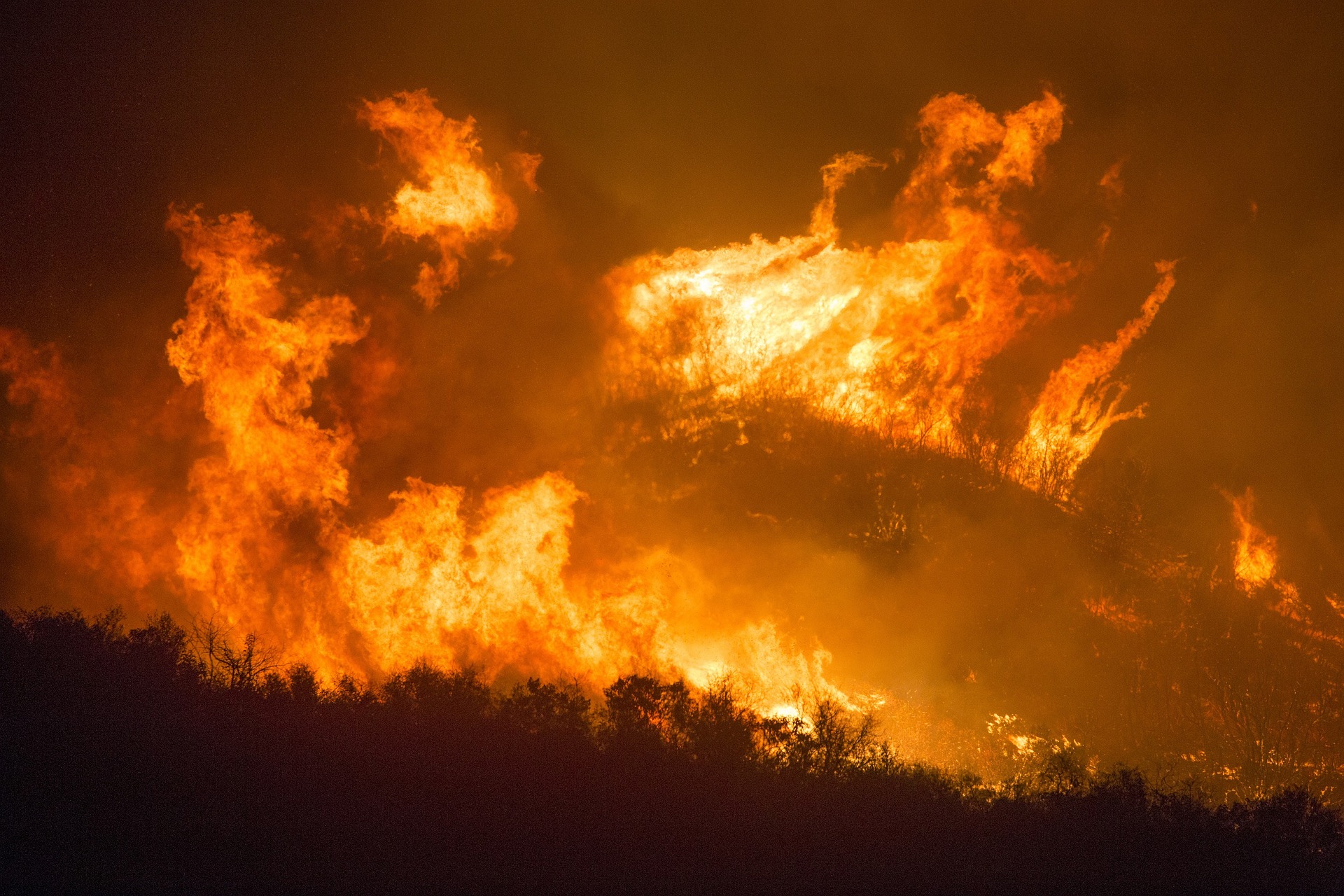 Bushfire risk in a changing climate on That's What I Call Science with Niamh Chapman & Guests